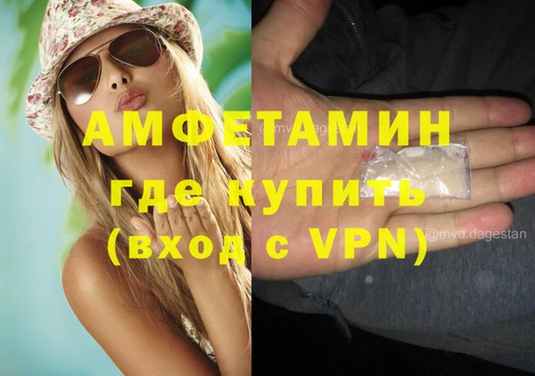 индика Краснослободск