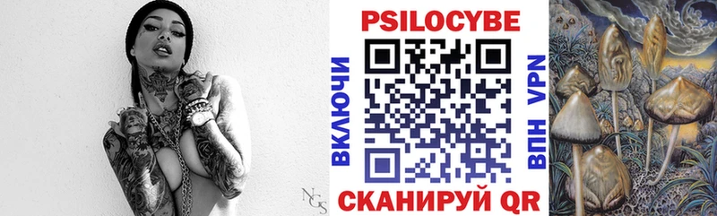 Купить  Луза  Псилоцибиновые грибы Cubensis 