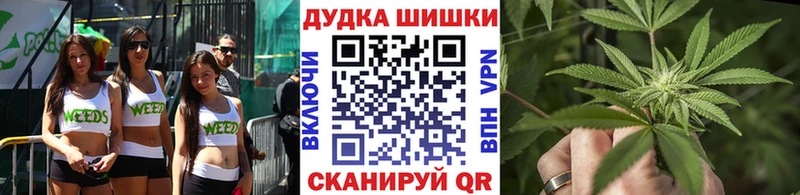 МАРИХУАНА сатива  Купить  Луза 